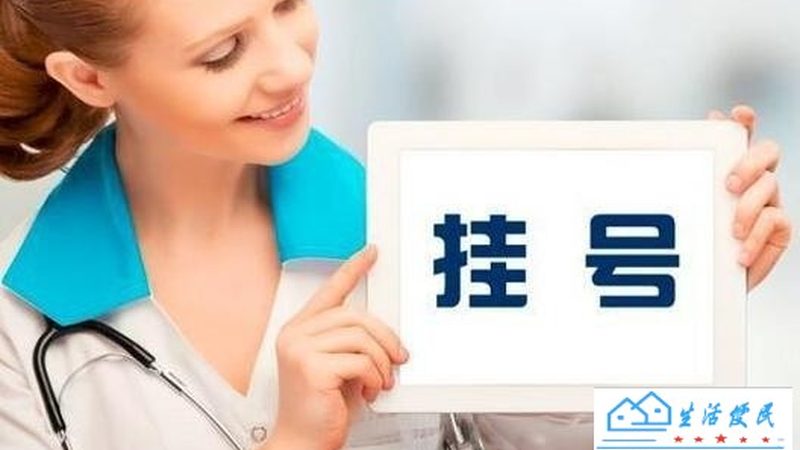 广州长途搬家宠物托运：如何安全可靠地选择服务？**